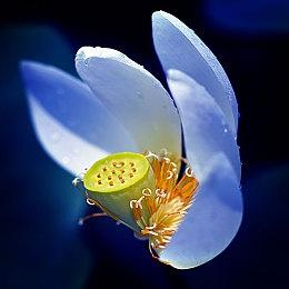 《Apex英雄》多个限时模式10月回归：“控制”等